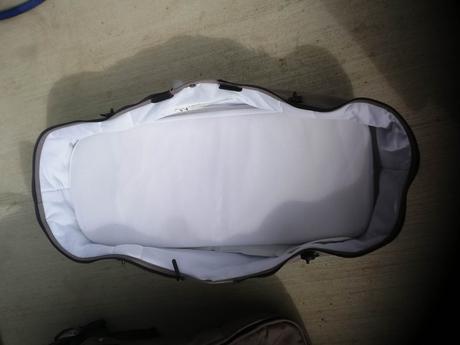 Neonato puro, neonato,neonato puro