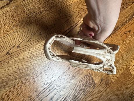 Plastová dekorácia, 