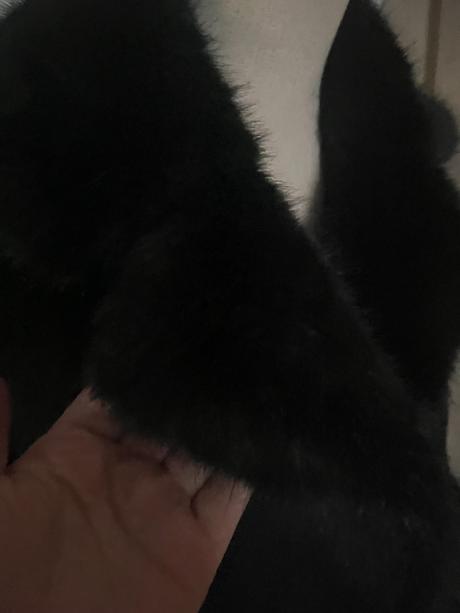 Kabát, river island,146