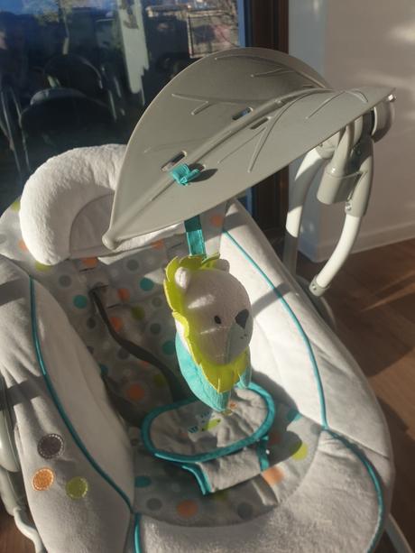 Vybrujúca hojdačka, 