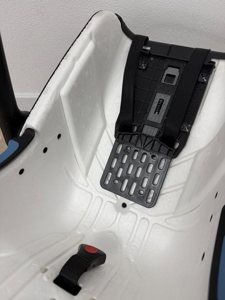 Vajíčko concord, concord