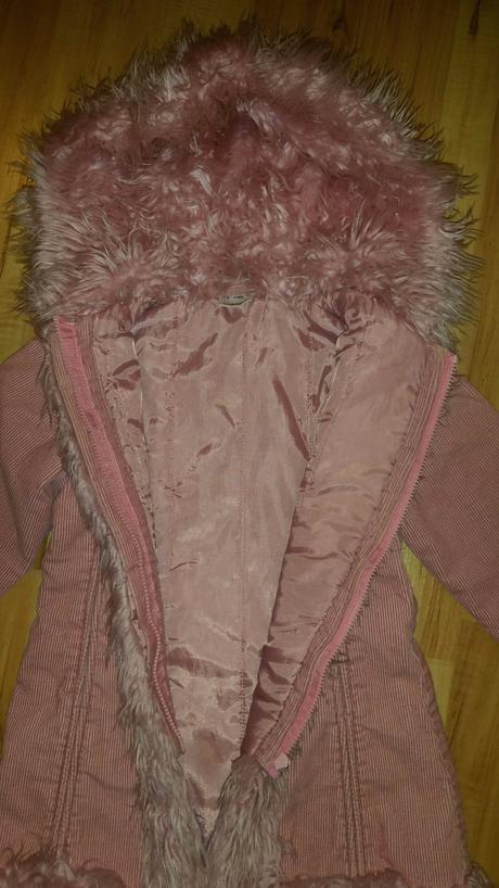 Mencestrovy kabatik, ladybird,104