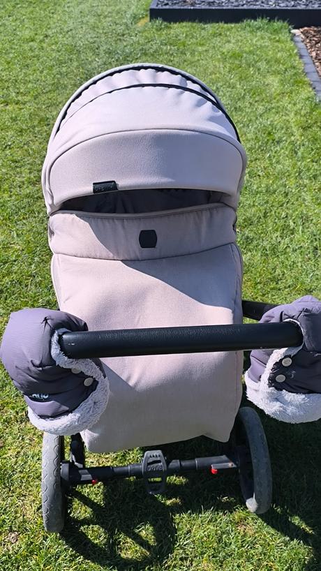 Kočík camarelo previo, camarelo,camarelo previo