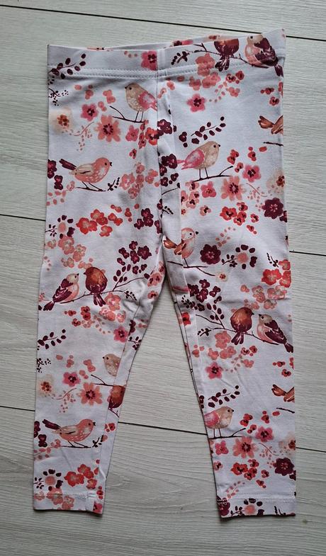 Leginy vtáčiky, george,98