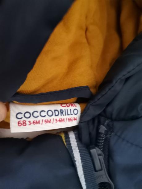 Zimny overal coccodrillo, coccodrillo,68