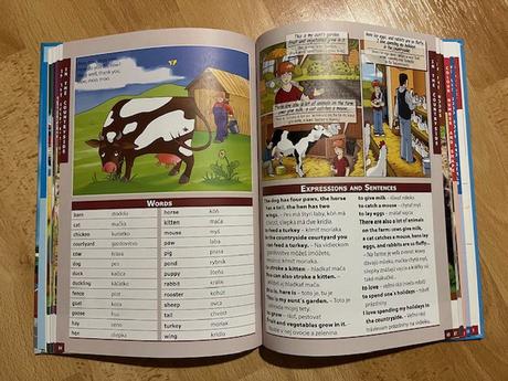 Ilustrovaný anglicko-slovenský slovník, 