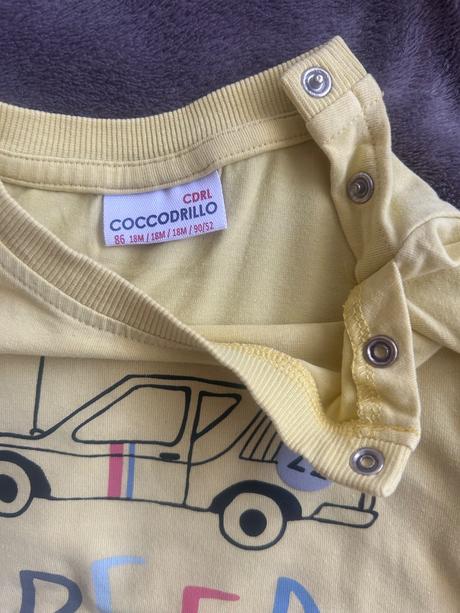 Tričká na leto, coccodrillo,86