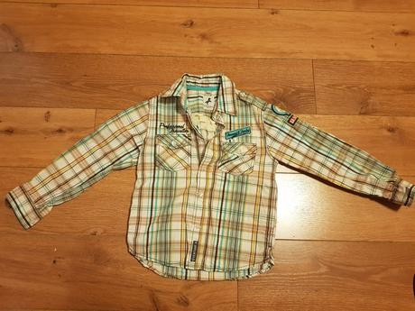 Košela, palomino,116