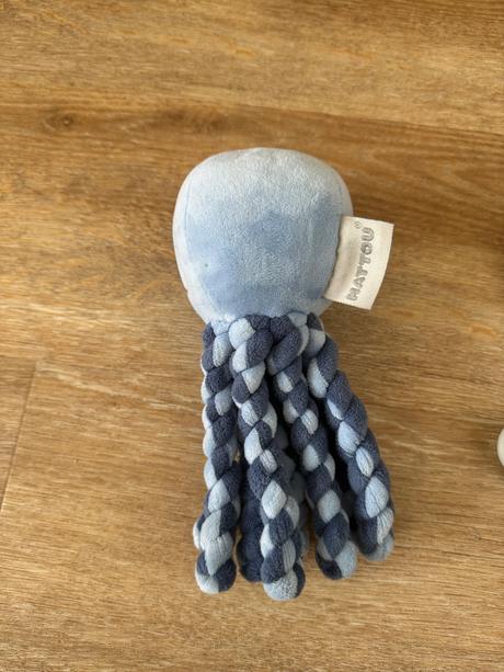 Chobotnička a hryzátko nattou lapidou,