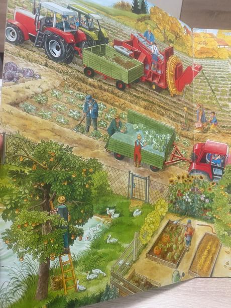 Veľká obrázková kniha na gazdovstve pozorovacia,