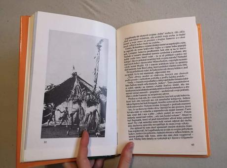 Knihy v slovenčine a češtine (aj samostatne),