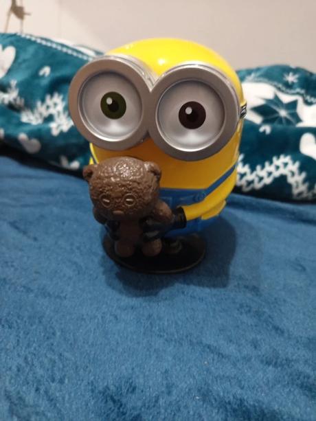 Pokladnička mimoň, 