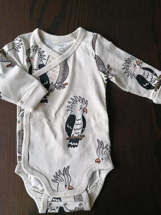 Body papagáj, lindex,56