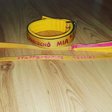 Set obojok+voditko s textom, menom,