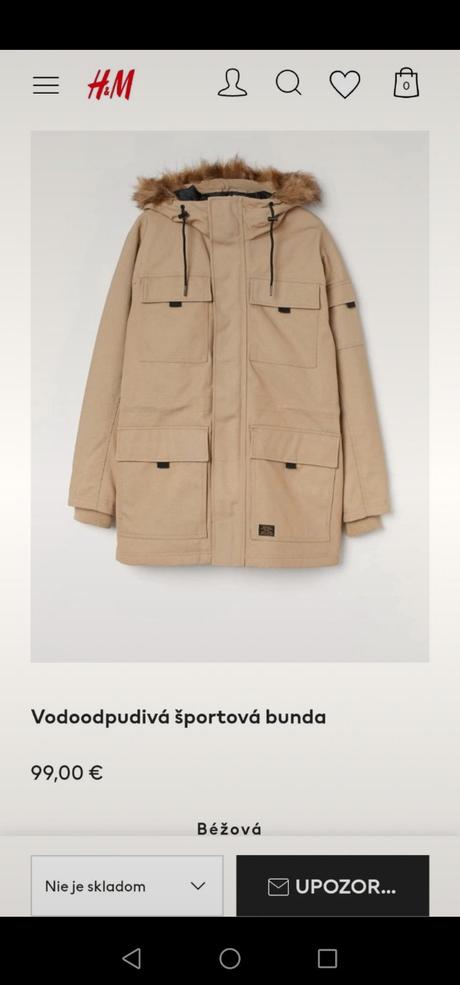 Pánska zimná bunda, h&m,s