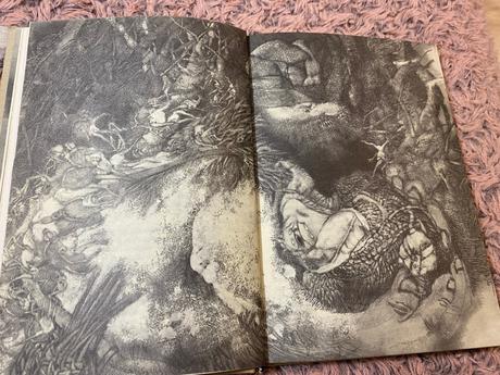 Lindgrenová astrid krásna zbojníkova dcéra ronja,