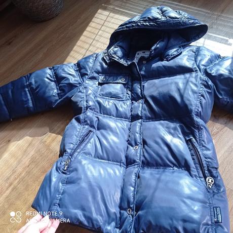 Champion bunda, champion,s