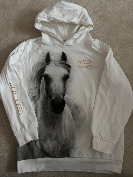 Mikina kôň, h&m,164