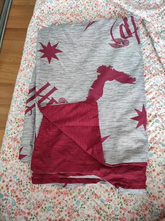 Navlečka na paplón, 