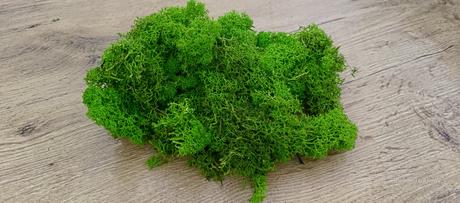 Stabilizovaný mach fínský lišajník- limetkovo zele,