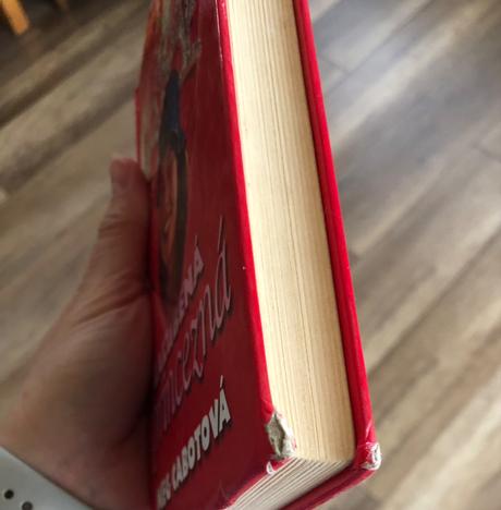 Zaľúbená princezná meg cabotova,