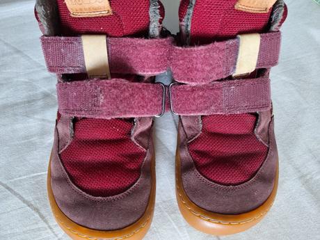 Froddo winter wool bordeaux 34, froddo,34