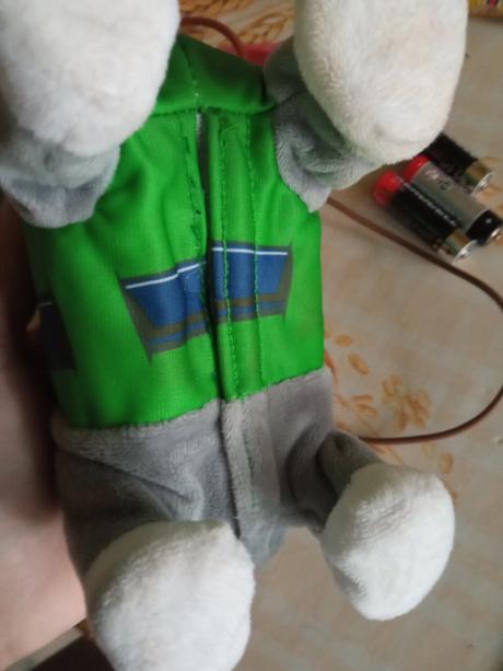 Chodiaci psík rocky z paw patrol, 