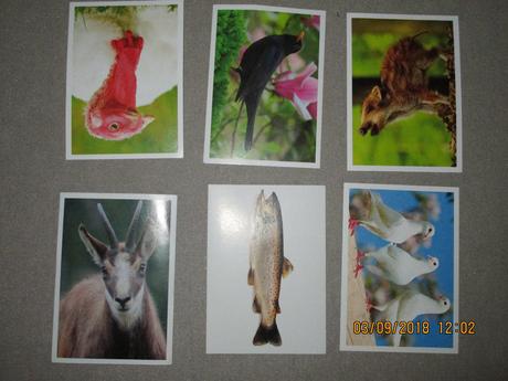 Nálepky jednota - zvieratká slovenska, 