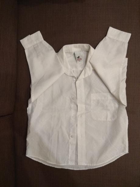 122 snehobiela kosela, palomino,122