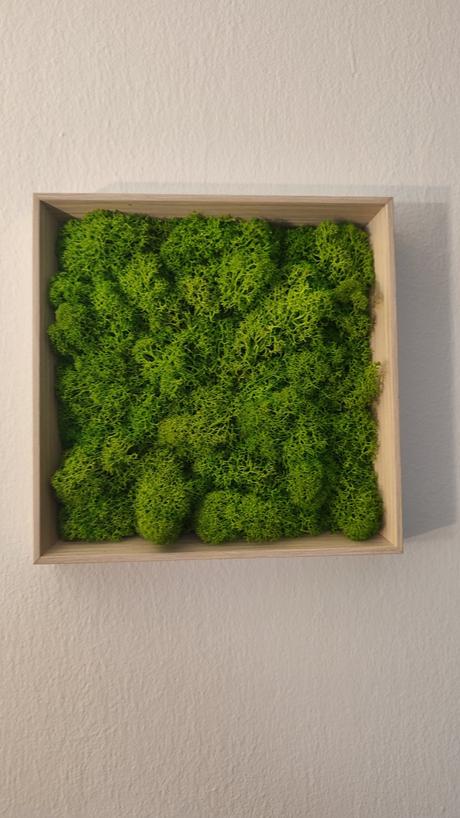 Machový obraz štvorec, 