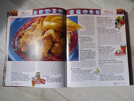 Ottova veľká hrnčeková kuchárka, 