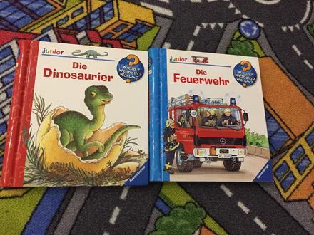 Knihy okienkove dinosaury a poziarnici v nj, 