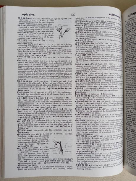 Výkladový anglický slovník, 