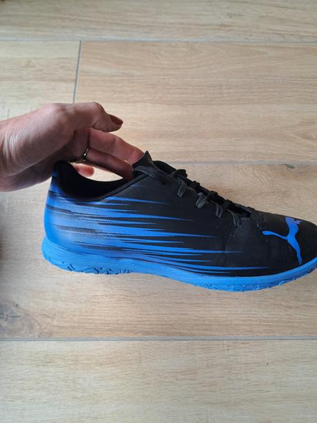 Halovky, puma,41