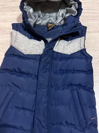 Hrubsia vesta head, 134