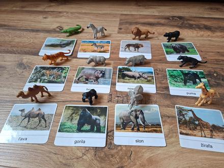 Kartičky zvierat + figurky, 