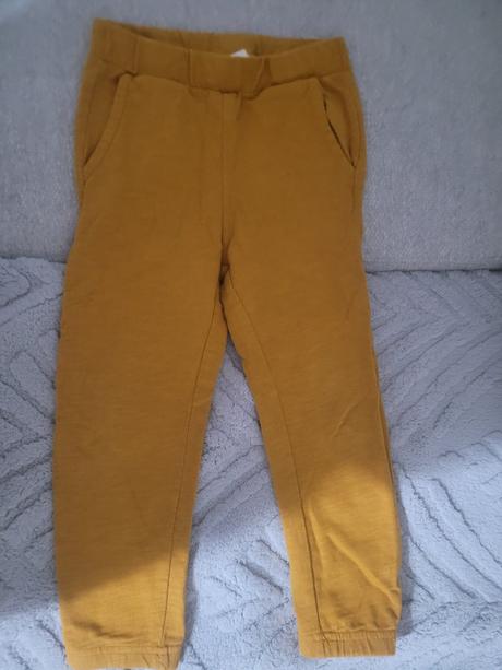 Tepláky, coccodrillo,104