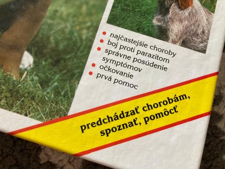 Náš pes je chorý (1999),