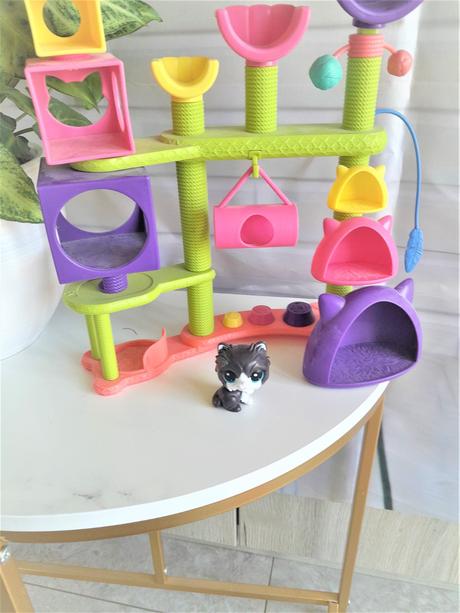 Littlest pet  shop cat, 