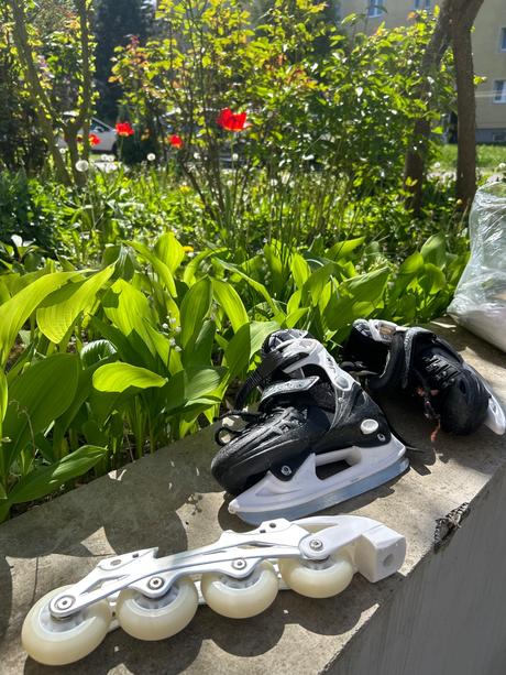 Korcule kolieskové a na lad, 31