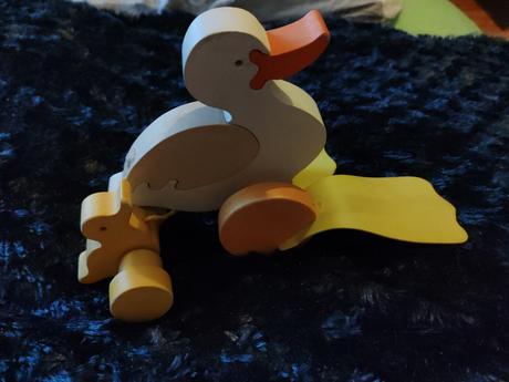 Kacicka s malym kacatkom,