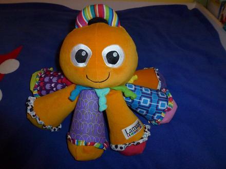 Farebná chobotnica lamaze,