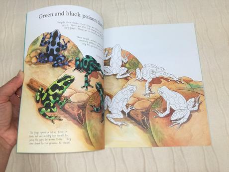 Usborne undersea life to colour njul18,