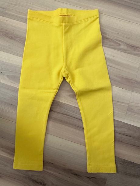 Teplejsie leginy, lupilu,86