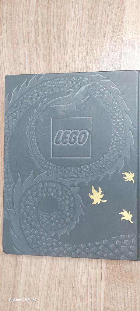 Lego ninjago kniha spinjitzu,