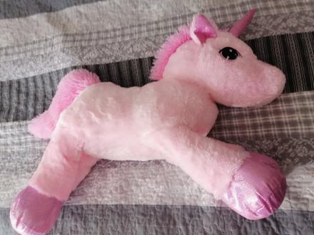 Veľký jednorožec,