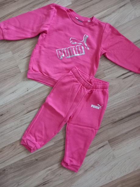 Suprava puma, puma,92