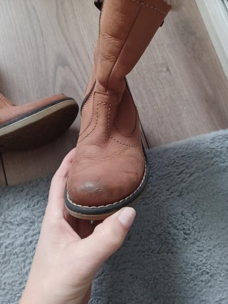 Lasocki veľ.26, lasocki,26