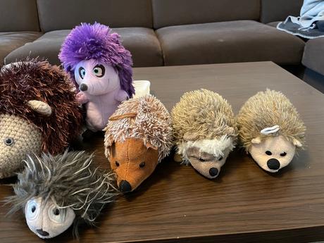 Plyšoví ježkovia, 