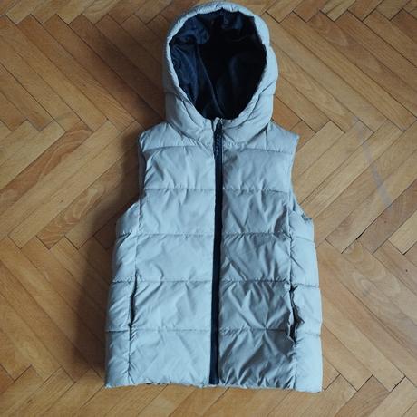 Vesta mango, mango,128